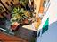 Immagine 11