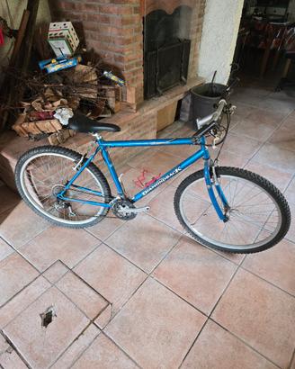 Mountain Bike Vintage Diamondback Sorrento