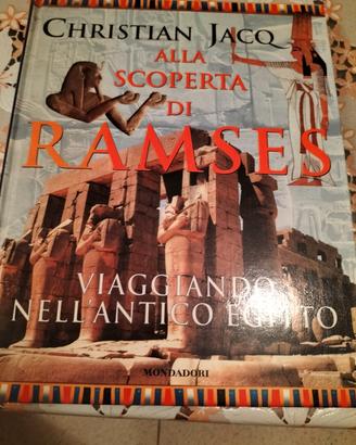 Alla scoperta di RAMSES 