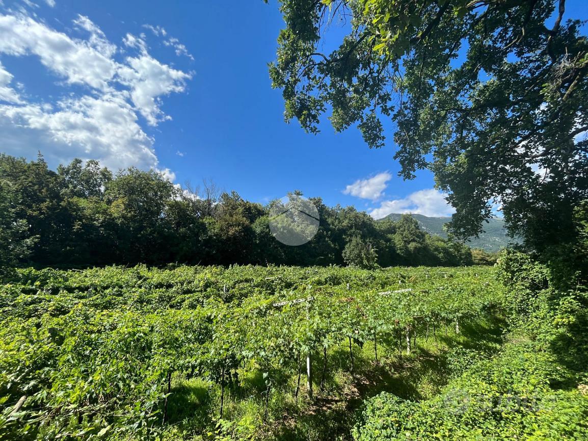 TER. AGRICOLO A CAPRINO VERONESE - Vista 2