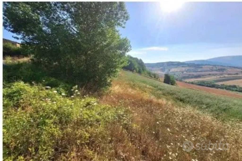 Immobile in asta di 1580 m² a Camerino - Vista 5