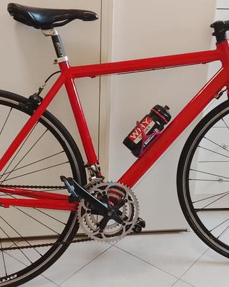 bici da corsa in alluminio gruppo campagnolo