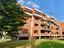 Immagine 15