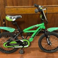 Bici Kawasaki