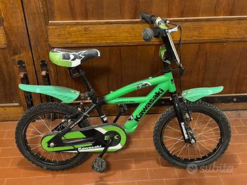 Bici Kawasaki