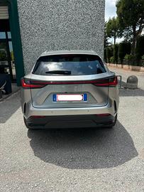 LEXUS NX 2ª serie - 2022