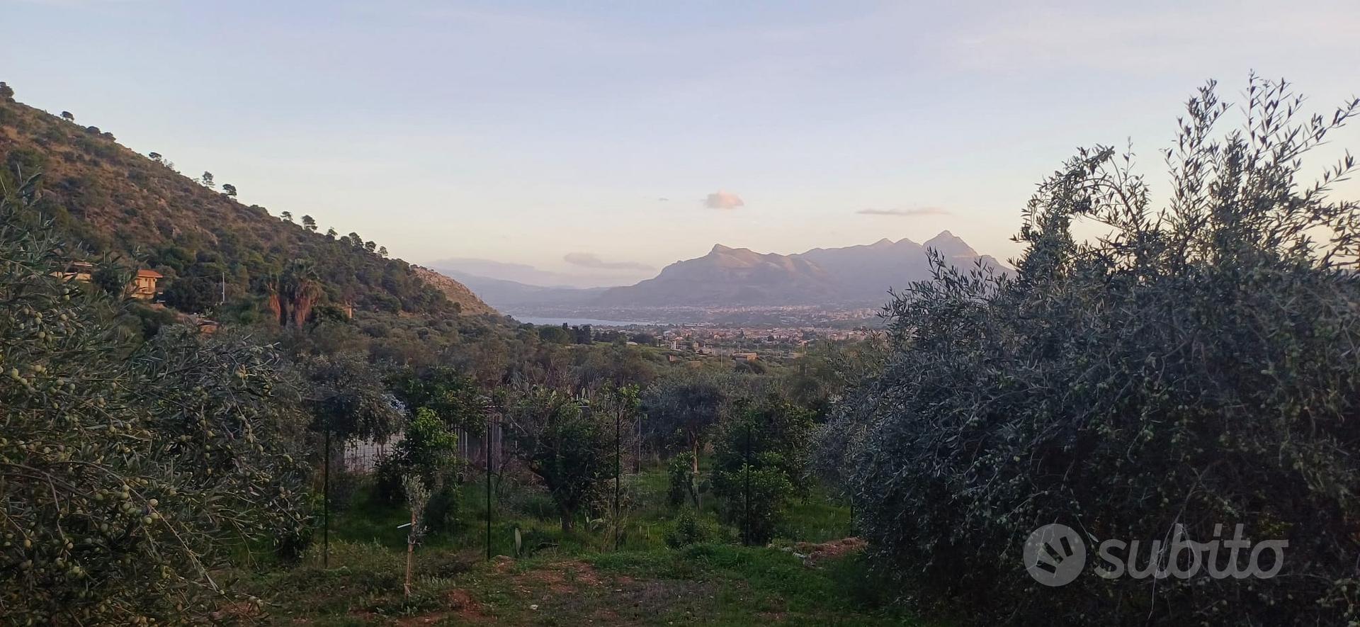 Terreno agricolo con casetta rurale Ter/37 - Vista 3