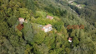 Stabile/Palazzo Coreglia Antelminelli [UM176GBVRG]