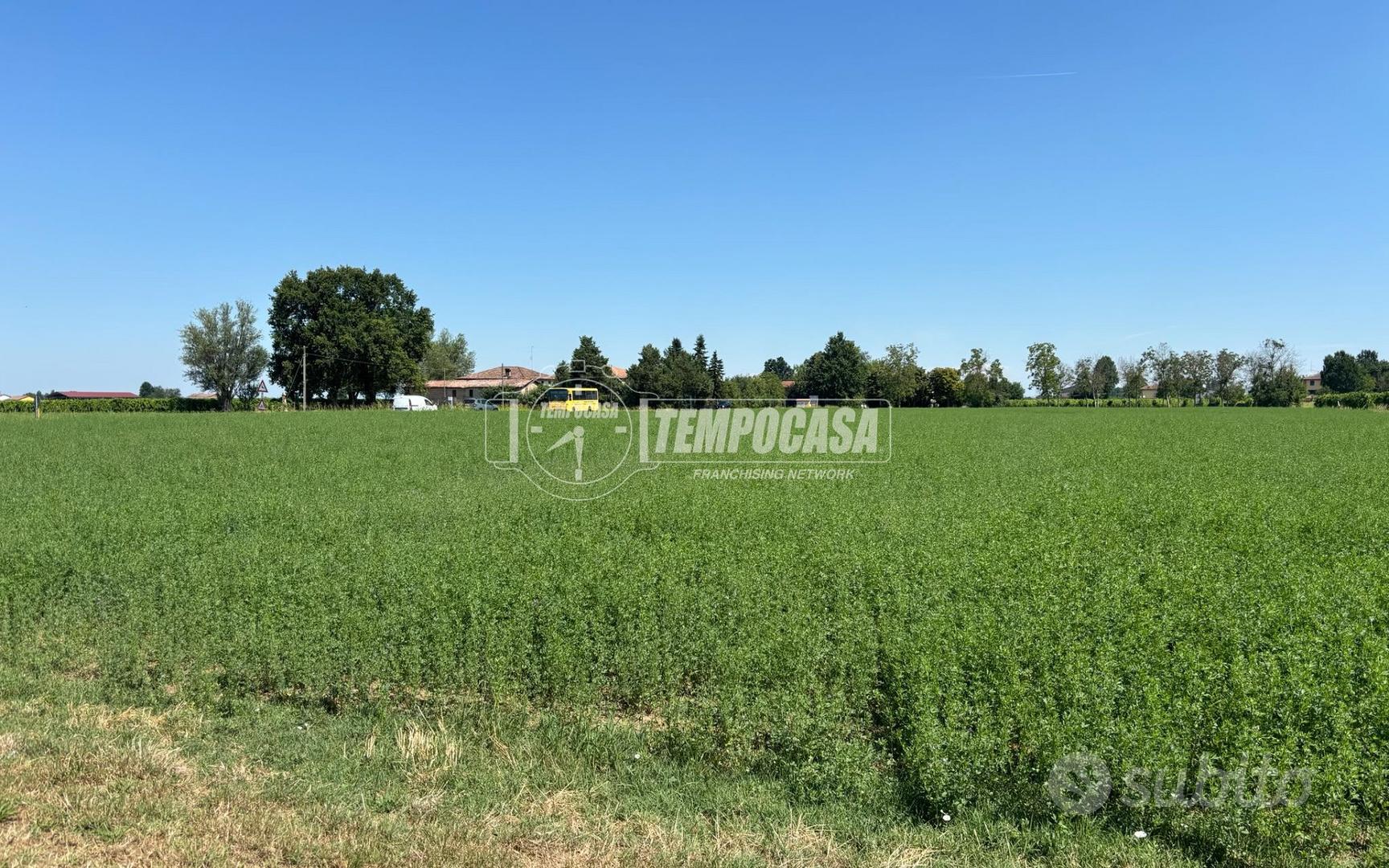TERRENO AGRICOLO A SOLERA - Vista 5