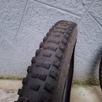 Copertoni mtb Maxxis e Schwalbe