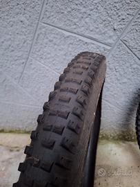 Copertoni mtb Maxxis e Schwalbe