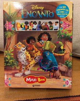 Libri illustrato Encanto Disney