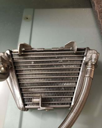 RADIATORE OLIO MV AGUSTA F3 675/800