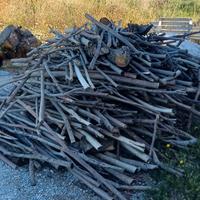 ulivo da ardere per camino