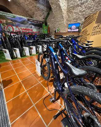 E- BIKE EX NOLEGGIO – GIANT
