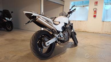 HONDA HORNET 