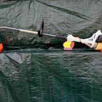 ((  Tagliabordi )) --STIHL  Fs   38 --mot. benzina