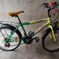 Bicicletta Mountain Bike Shimano