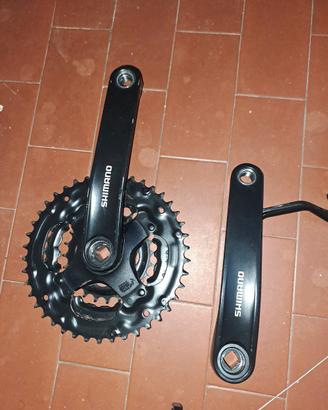 gruppo Mtb 