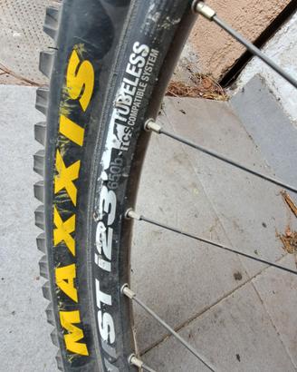 mtb gt sensor anno 2014