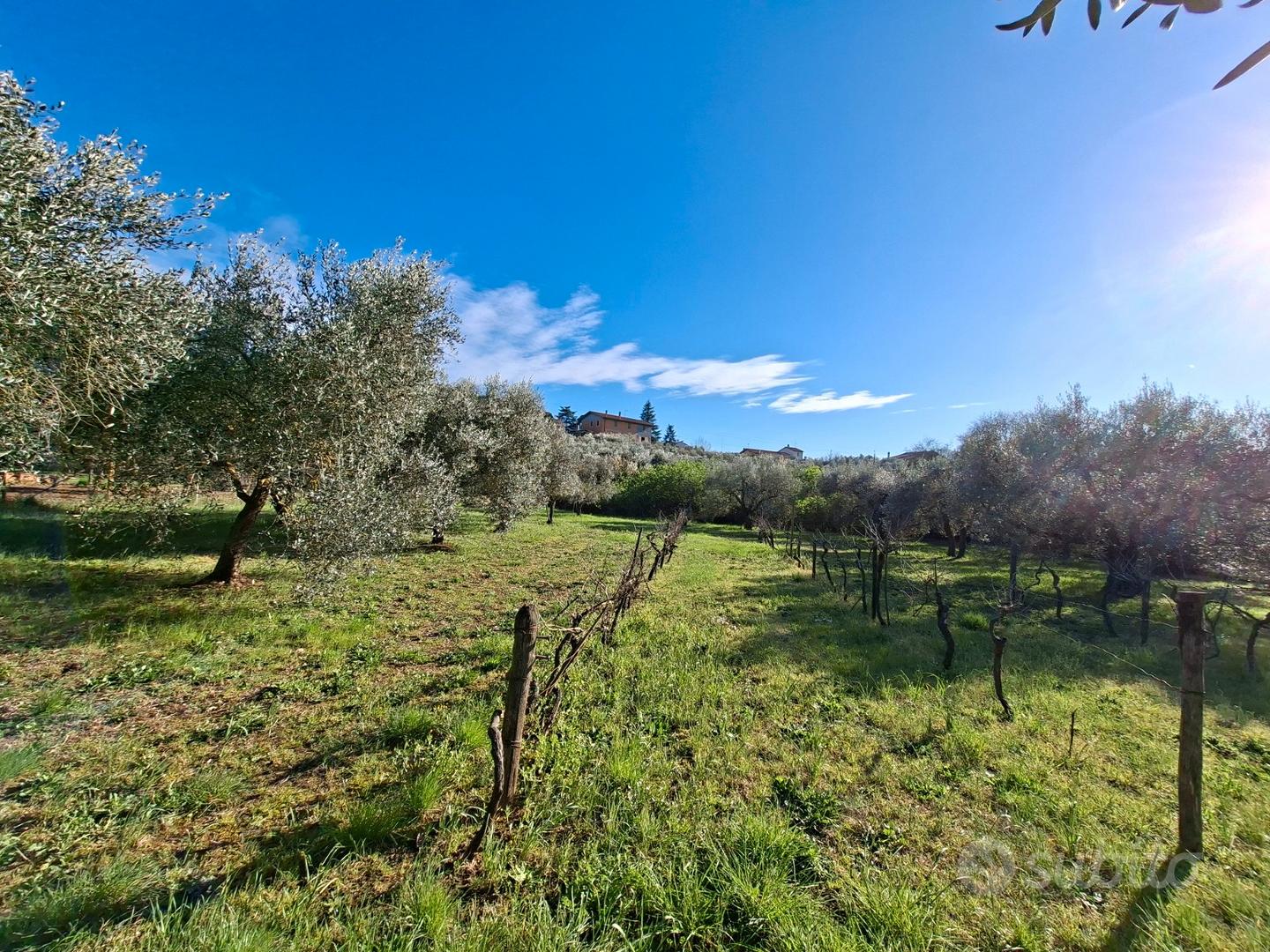 Terreno agricolo pianeggiante - Altro