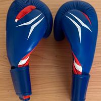 Guantoni da boxe e scarpini