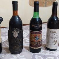 Vino varie Marche