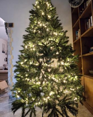 Albero di Natale