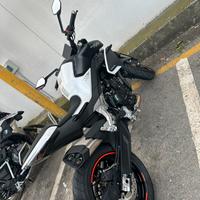 CF Moto 800 NK ADVANCED