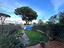 Immagine 7