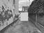 Immagine 8