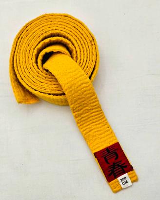 Cintura gialla 260 Karate Judo arti marziali 