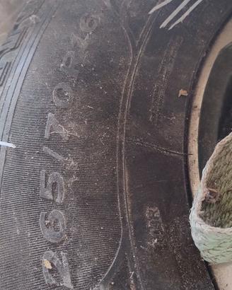 gomme payero