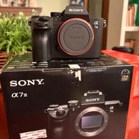 Sony A7III + 24-105mm f4 + 50mm f1.8