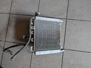 radiatore Beverly 300