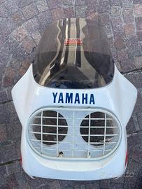 Cupolino Yamaha Teneré