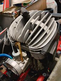 Go kart Parolin mini completo di motore 60 TM gr3.