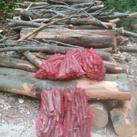 legna da ardere