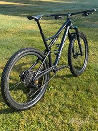 Specialized Epic Expert Carbon EVO 2020 - Taglia L