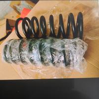 Molle molloni posteriori Fiat 900t 900e 850t NUOVE