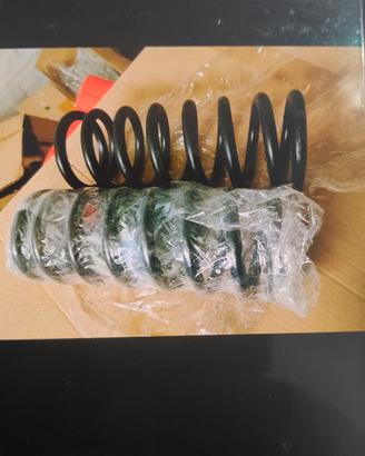 Molle molloni posteriori Fiat 900t 900e 850t NUOVE