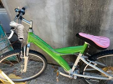 2 bici mtb