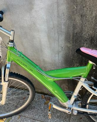 2 bici mtb