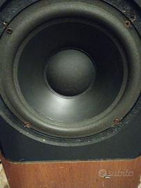 Coppia di altoparlanti Woofer Peerless
