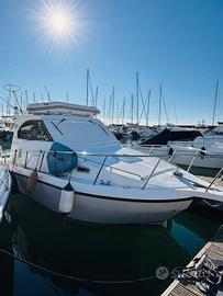 Plastik Space 290 Cruiser (1998)