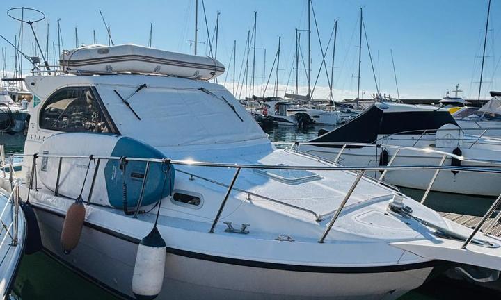 Plastik Space 290 Cruiser (1998)