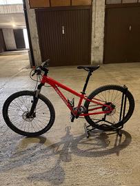 Cannondale trail 5