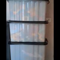 Lego Duplo Parma grandi quantità 