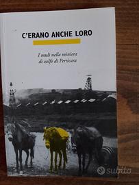 I muli nella miniera di Perticara 