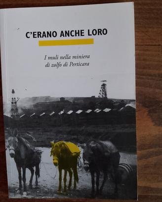 I muli nella miniera di Perticara 